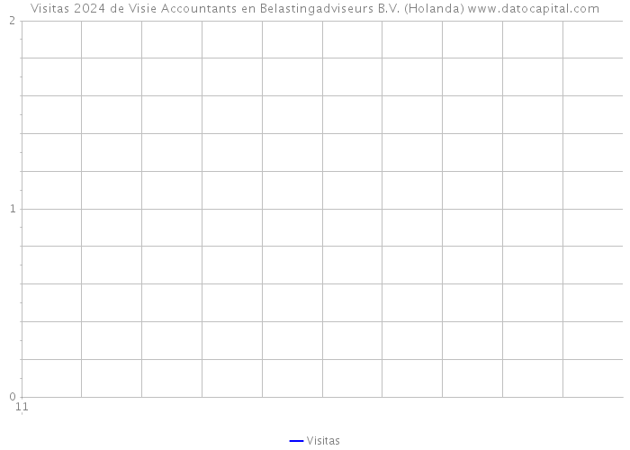 Visitas 2024 de Visie Accountants en Belastingadviseurs B.V. (Holanda) 