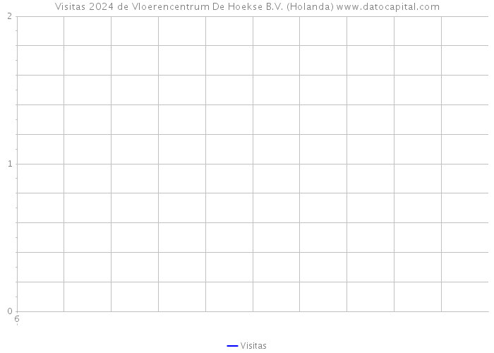 Visitas 2024 de Vloerencentrum De Hoekse B.V. (Holanda) 