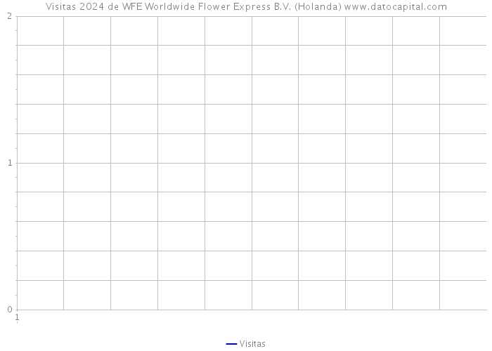 Visitas 2024 de WFE Worldwide Flower Express B.V. (Holanda) 