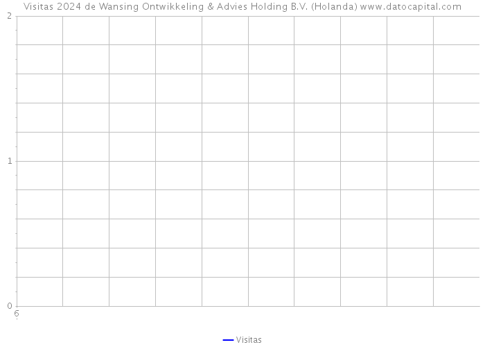 Visitas 2024 de Wansing Ontwikkeling & Advies Holding B.V. (Holanda) 