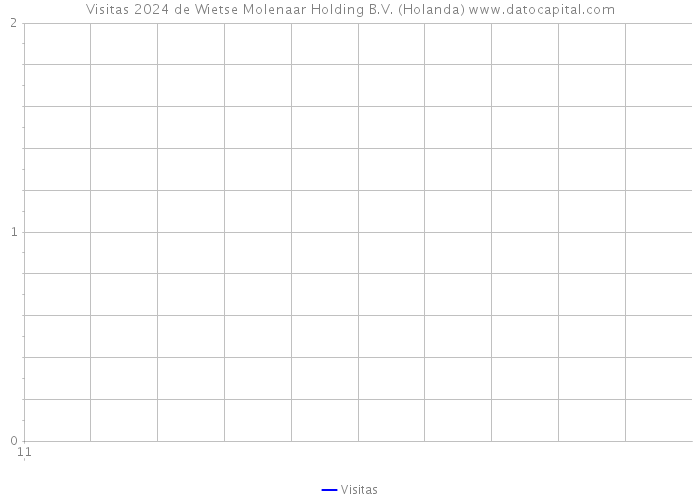 Visitas 2024 de Wietse Molenaar Holding B.V. (Holanda) 