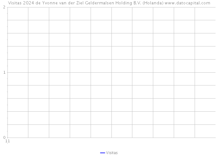 Visitas 2024 de Yvonne van der Ziel Geldermalsen Holding B.V. (Holanda) 