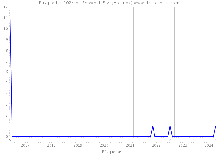 Búsquedas 2024 de Snowball B.V. (Holanda) 