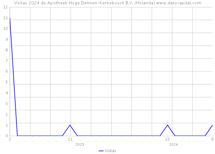 Visitas 2024 de Apotheek Hoge Dennen-Kerkebosch B.V. (Holanda) 