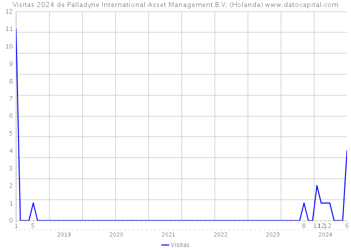Visitas 2024 de Palladyne International Asset Management B.V. (Holanda) 