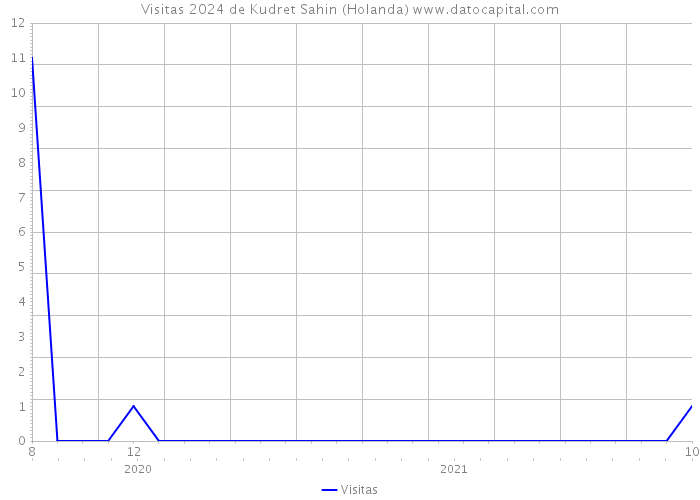 Visitas 2024 de Kudret Sahin (Holanda) 