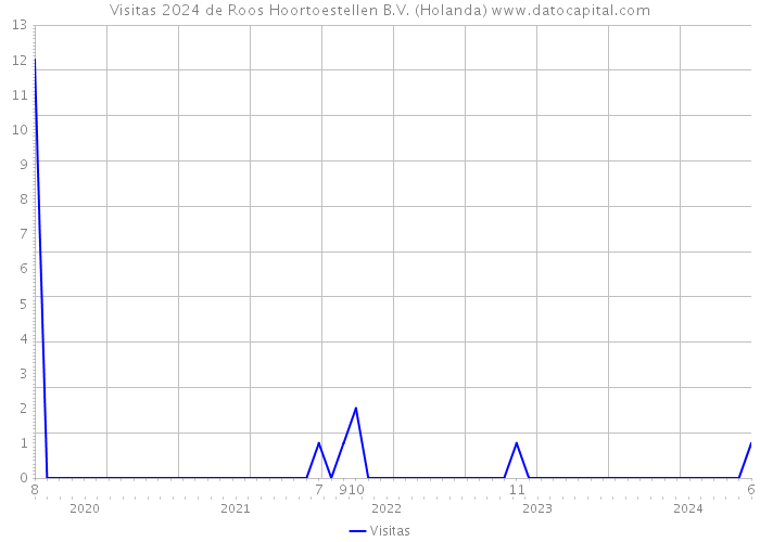 Visitas 2024 de Roos Hoortoestellen B.V. (Holanda) 