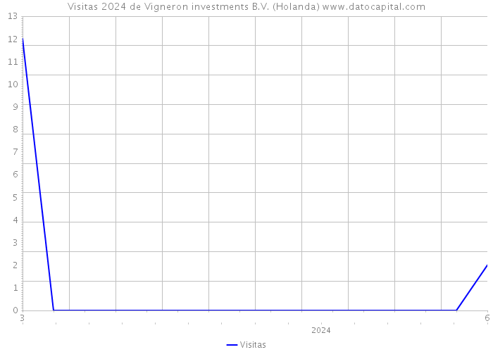 Visitas 2024 de Vigneron investments B.V. (Holanda) 