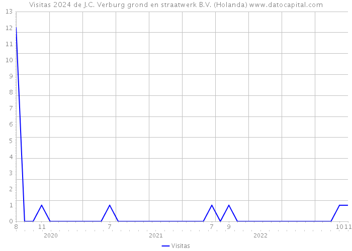 Visitas 2024 de J.C. Verburg grond en straatwerk B.V. (Holanda) 