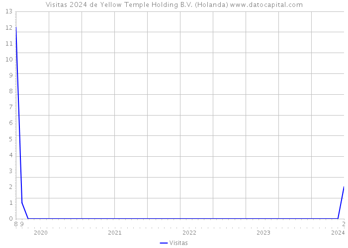 Visitas 2024 de Yellow Temple Holding B.V. (Holanda) 