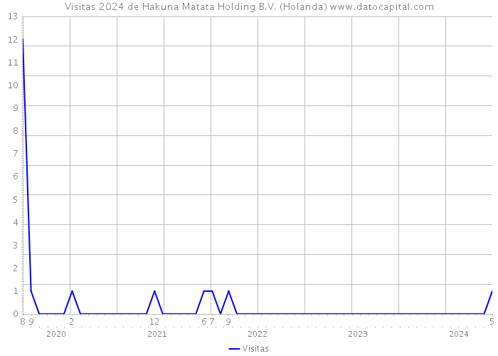 Visitas 2024 de Hakuna Matata Holding B.V. (Holanda) 