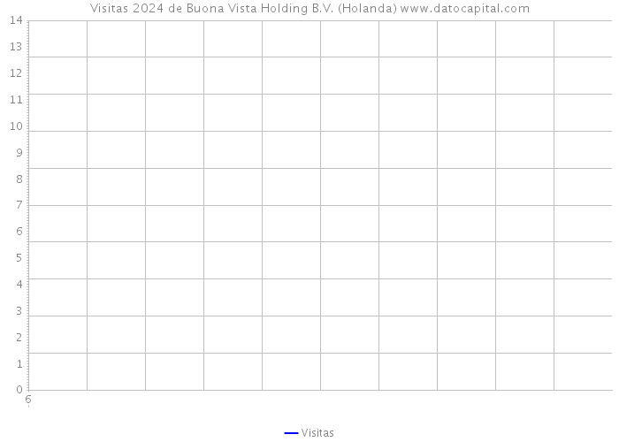 Visitas 2024 de Buona Vista Holding B.V. (Holanda) 