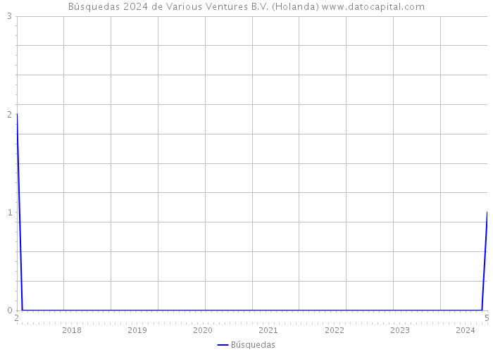 Búsquedas 2024 de Various Ventures B.V. (Holanda) 