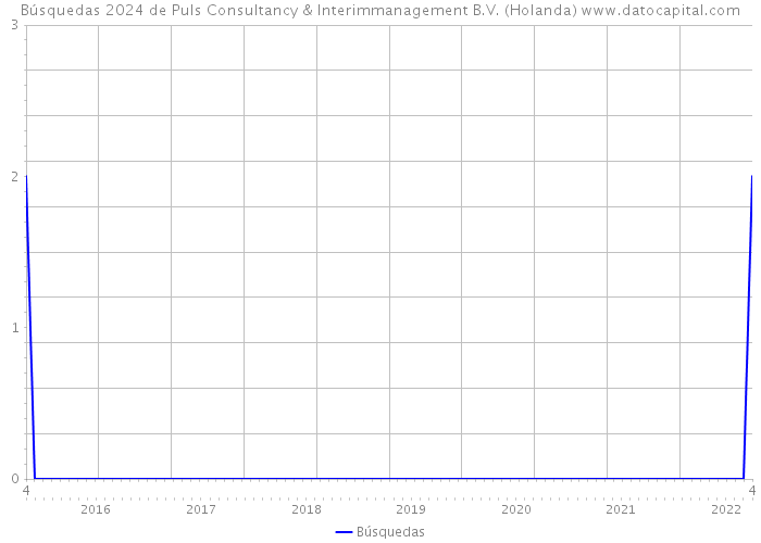 Búsquedas 2024 de Puls Consultancy & Interimmanagement B.V. (Holanda) 