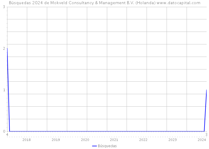 Búsquedas 2024 de Mokveld Consultancy & Management B.V. (Holanda) 