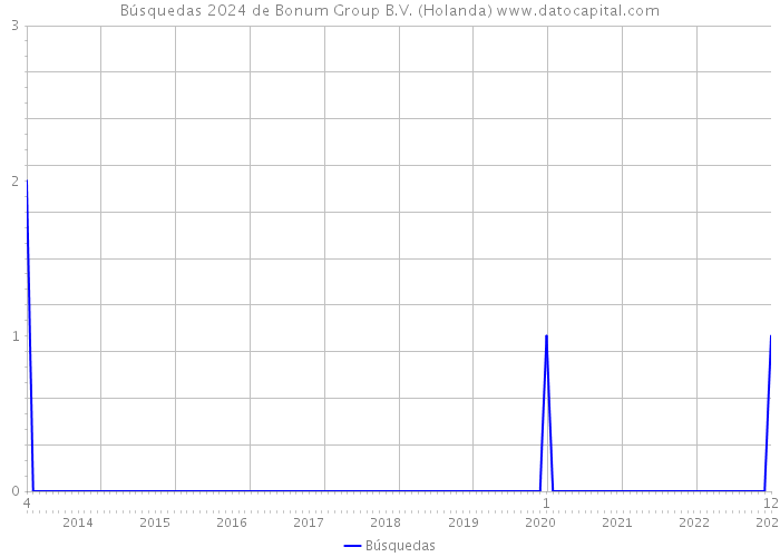 Búsquedas 2024 de Bonum Group B.V. (Holanda) 