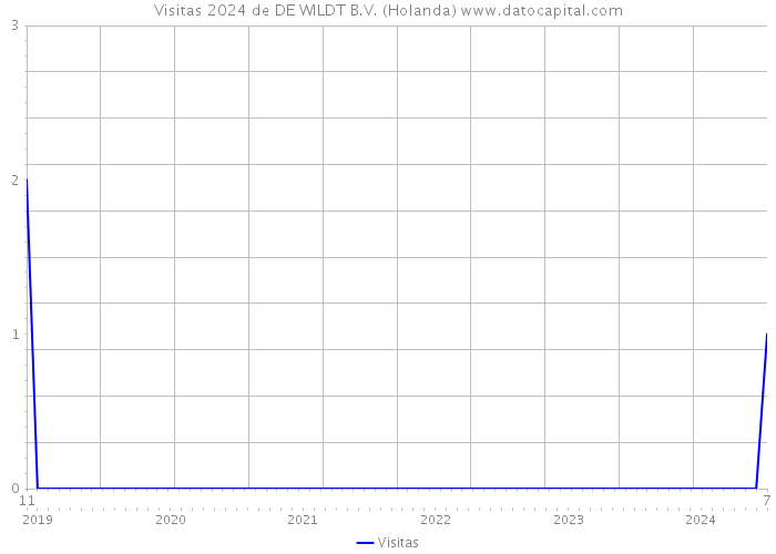 Visitas 2024 de DE WILDT B.V. (Holanda) 