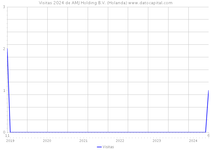 Visitas 2024 de AMJ Holding B.V. (Holanda) 