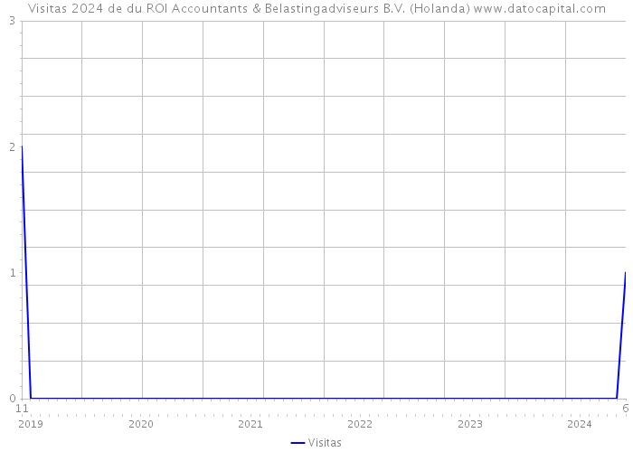 Visitas 2024 de du ROI Accountants & Belastingadviseurs B.V. (Holanda) 