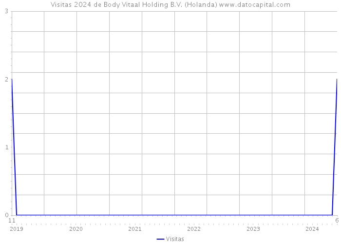 Visitas 2024 de Body Vitaal Holding B.V. (Holanda) 