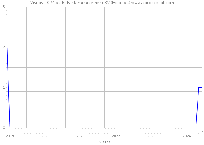 Visitas 2024 de Bulsink Management BV (Holanda) 