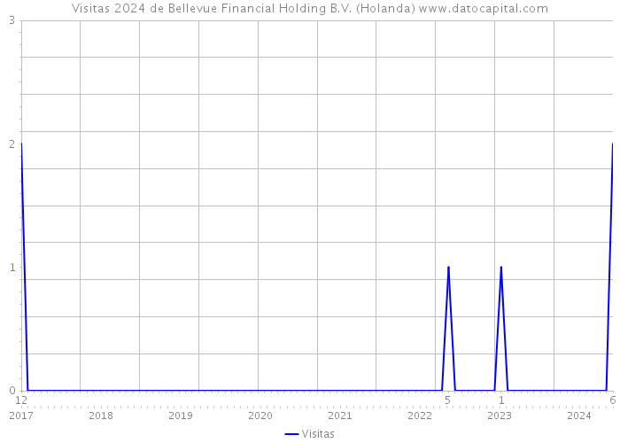 Visitas 2024 de Bellevue Financial Holding B.V. (Holanda) 