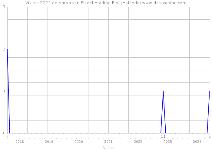 Visitas 2024 de Anton van Bladel Holding B.V. (Holanda) 