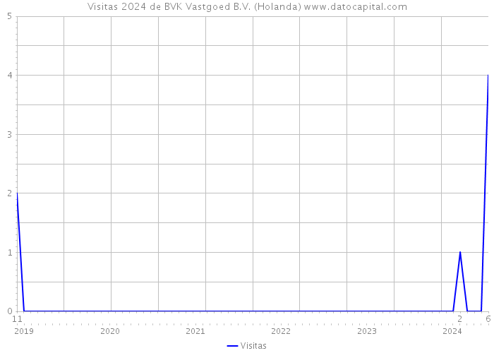Visitas 2024 de BVK Vastgoed B.V. (Holanda) 