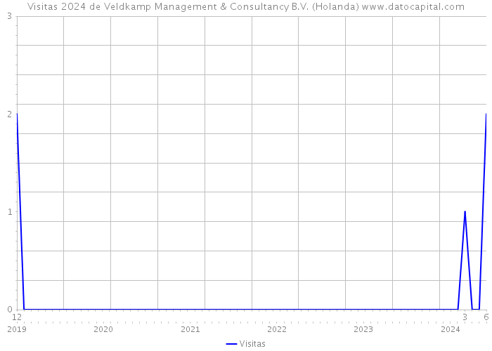 Visitas 2024 de Veldkamp Management & Consultancy B.V. (Holanda) 