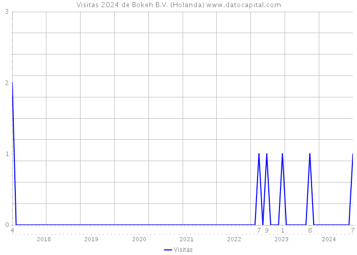 Visitas 2024 de Bokeh B.V. (Holanda) 