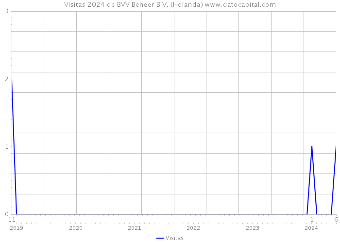 Visitas 2024 de BVV Beheer B.V. (Holanda) 