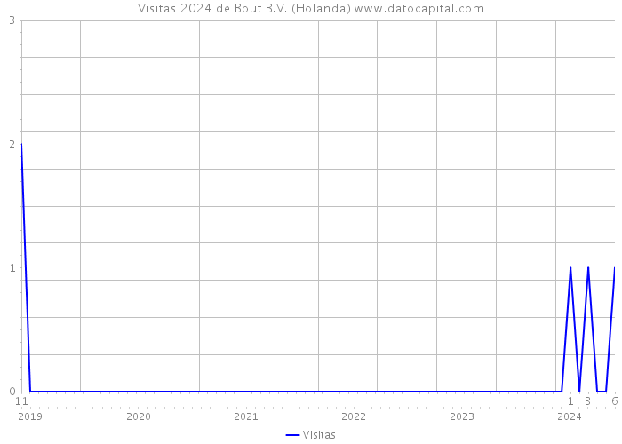 Visitas 2024 de Bout B.V. (Holanda) 