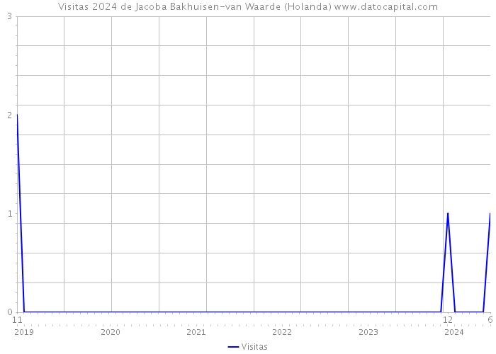 Visitas 2024 de Jacoba Bakhuisen-van Waarde (Holanda) 
