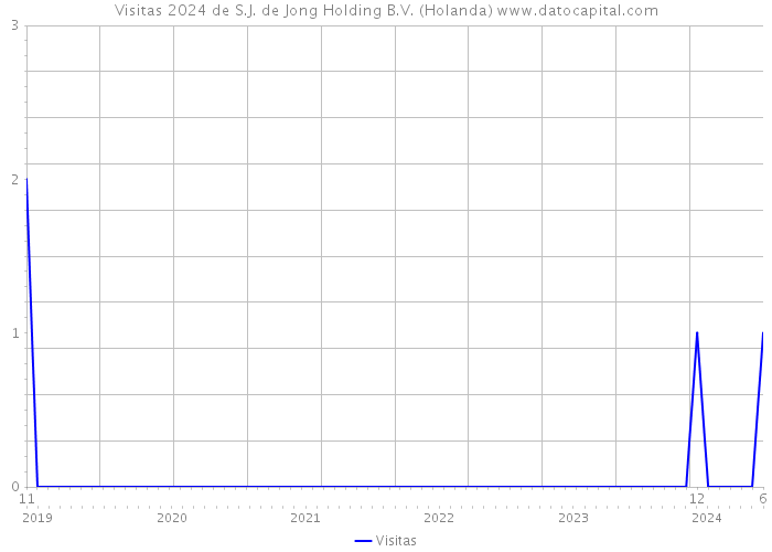 Visitas 2024 de S.J. de Jong Holding B.V. (Holanda) 