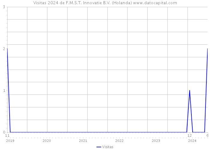 Visitas 2024 de F.M.S.T. Innovatie B.V. (Holanda) 