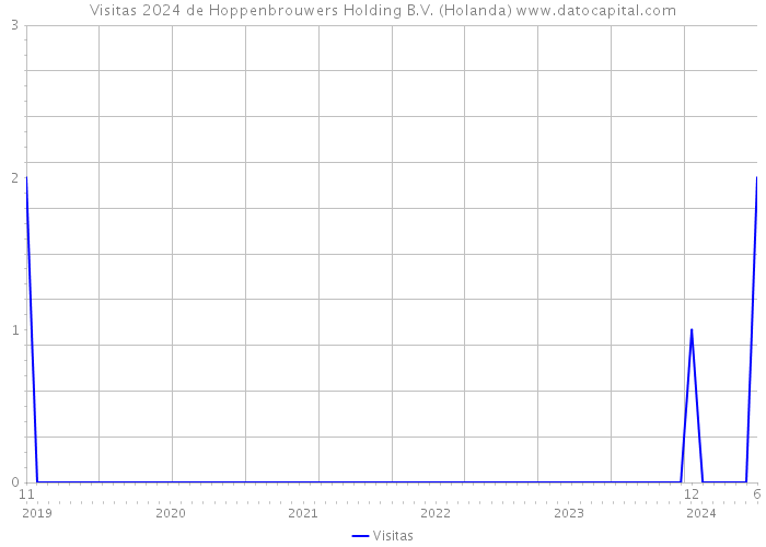 Visitas 2024 de Hoppenbrouwers Holding B.V. (Holanda) 