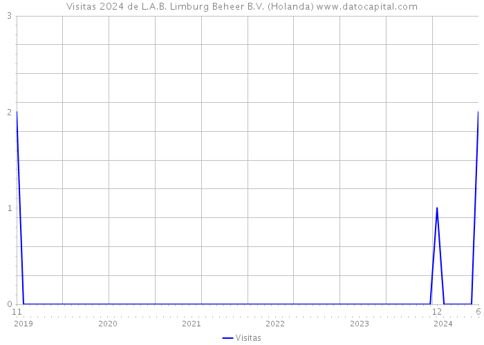Visitas 2024 de L.A.B. Limburg Beheer B.V. (Holanda) 