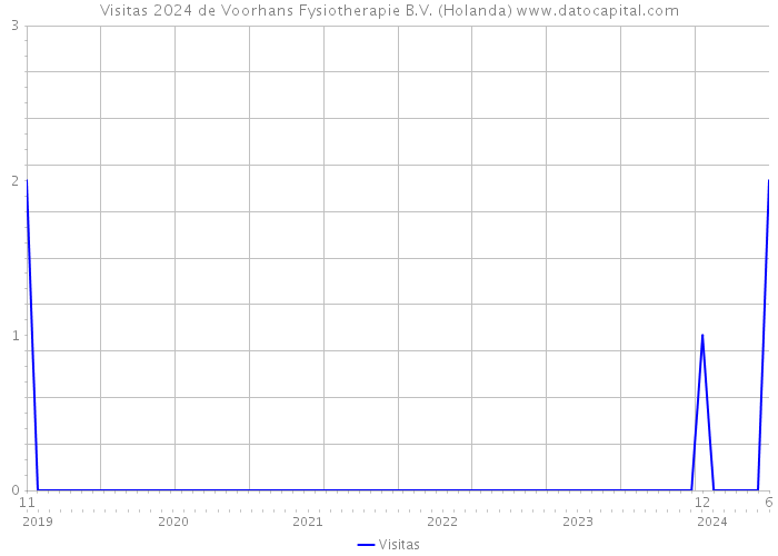 Visitas 2024 de Voorhans Fysiotherapie B.V. (Holanda) 