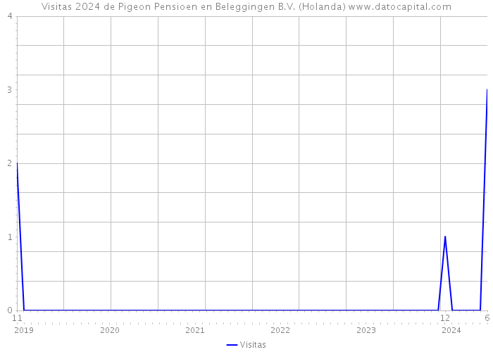 Visitas 2024 de Pigeon Pensioen en Beleggingen B.V. (Holanda) 