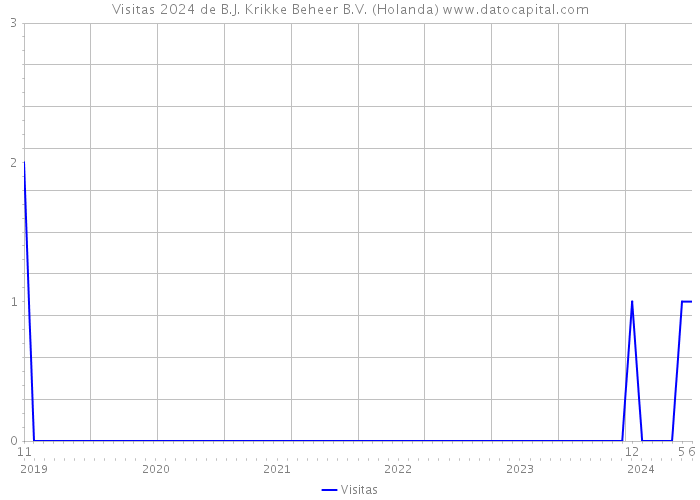 Visitas 2024 de B.J. Krikke Beheer B.V. (Holanda) 