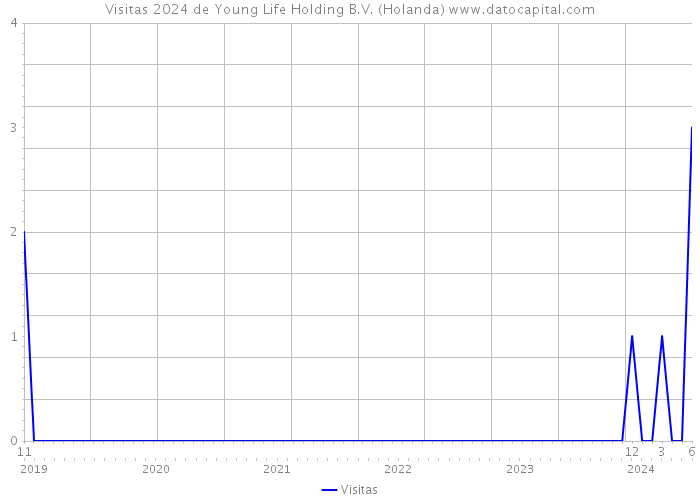 Visitas 2024 de Young Life Holding B.V. (Holanda) 