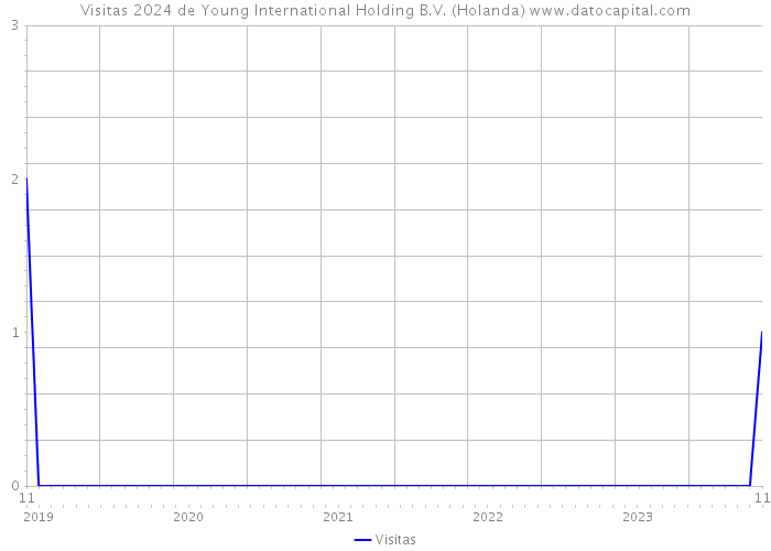 Visitas 2024 de Young International Holding B.V. (Holanda) 