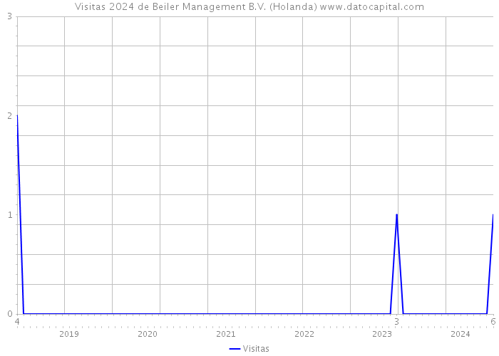 Visitas 2024 de Beiler Management B.V. (Holanda) 