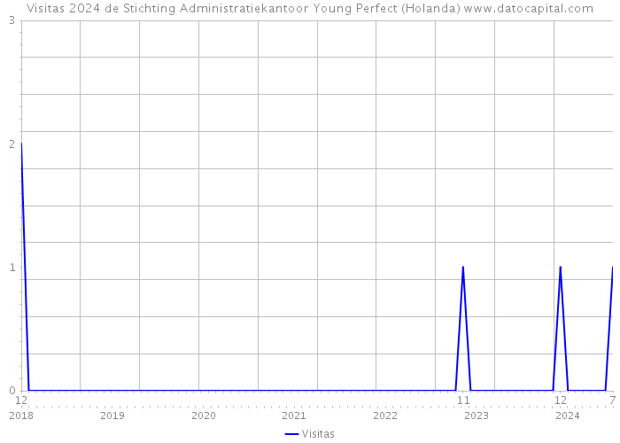 Visitas 2024 de Stichting Administratiekantoor Young Perfect (Holanda) 