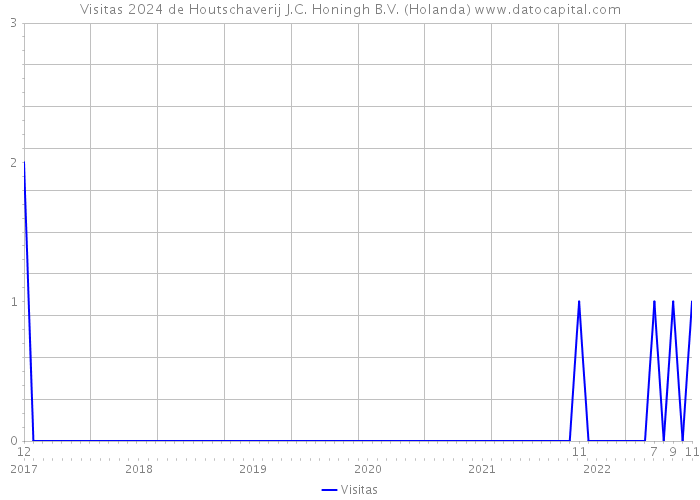 Visitas 2024 de Houtschaverij J.C. Honingh B.V. (Holanda) 