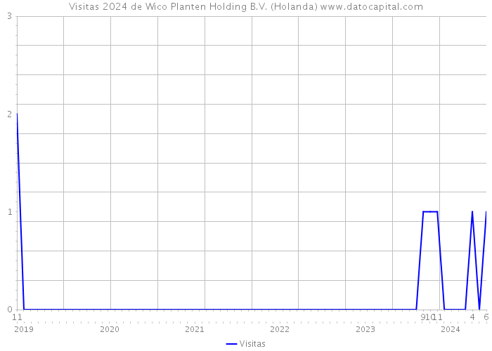 Visitas 2024 de Wico Planten Holding B.V. (Holanda) 