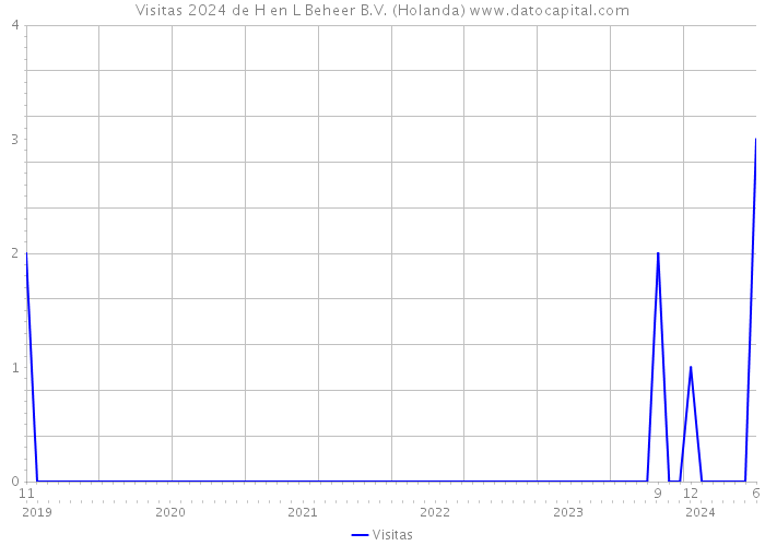 Visitas 2024 de H en L Beheer B.V. (Holanda) 