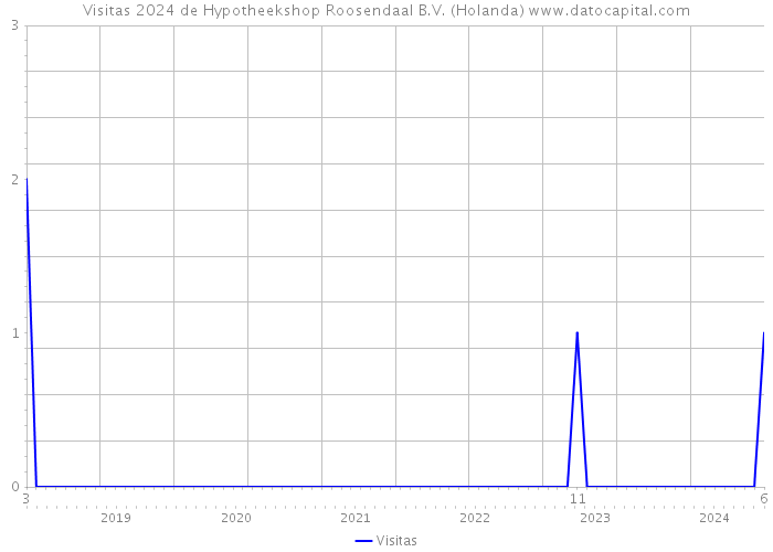 Visitas 2024 de Hypotheekshop Roosendaal B.V. (Holanda) 