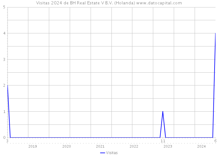 Visitas 2024 de BH Real Estate V B.V. (Holanda) 