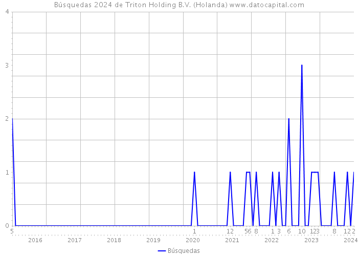 Búsquedas 2024 de Triton Holding B.V. (Holanda) 